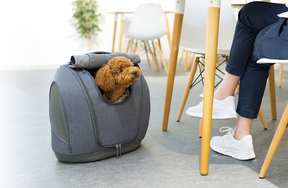 Pet Carrier muna（ペットキャリアミュナ）｜OPPO （オッポ） 犬・猫