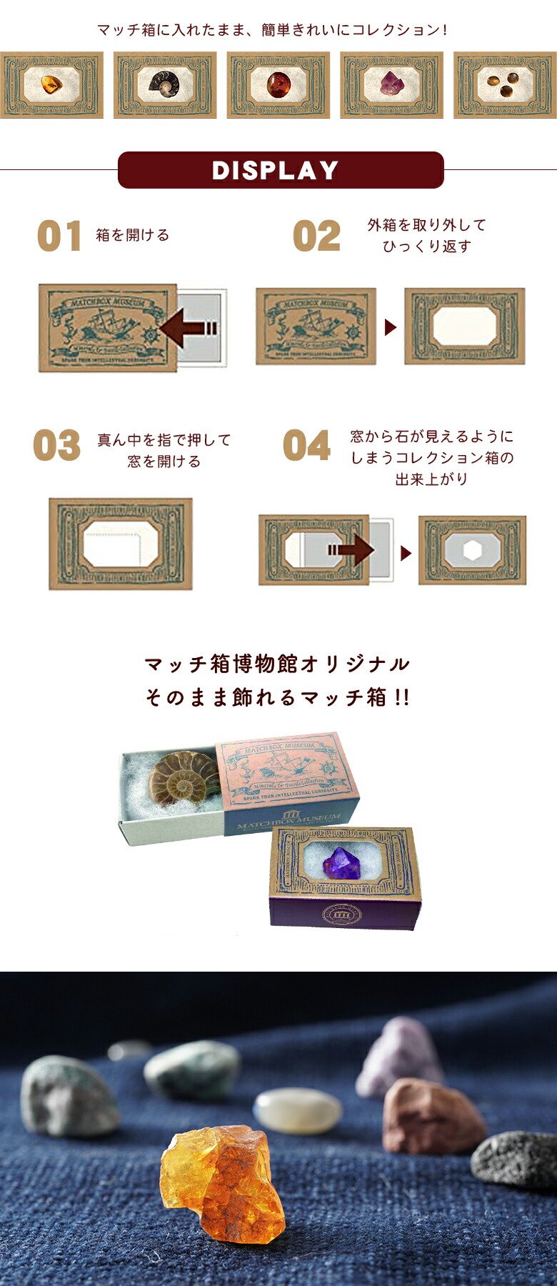 楽天市場】鉱物と化石のコレクション 1カートン(144個セット) 科学雑貨