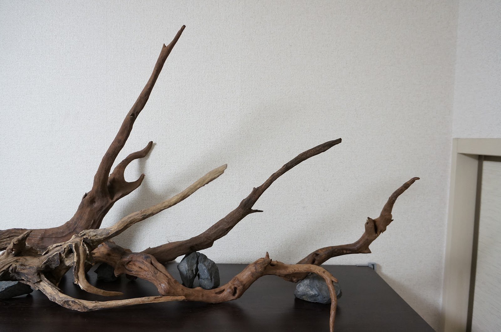 流木 ブランチウッド ホーンウッド 水景 レイアウト 他枝流木 細めの枝