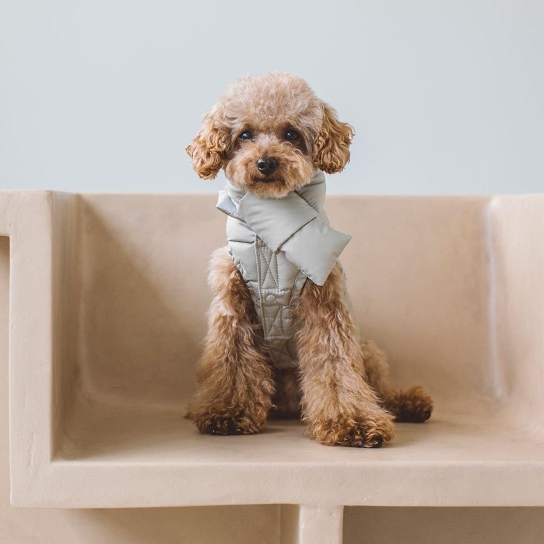 ダックダウン ジャケット＆マフラーセット - ドッググッズ・猫グッズ