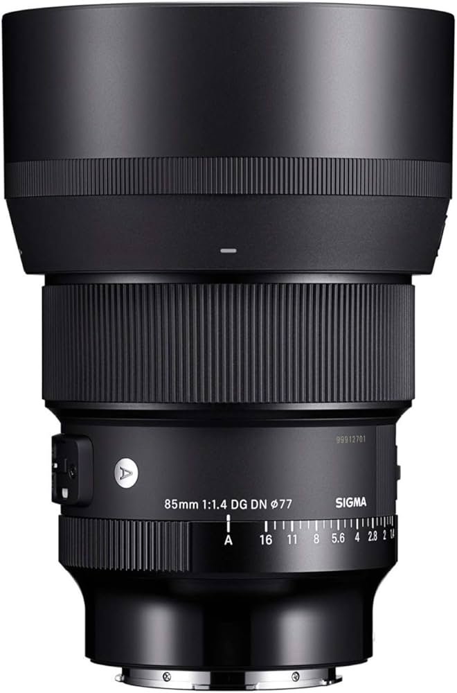 Amazon.com : Sigma 85mm F1.4 DG DN, for L-Mount : Electronics