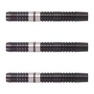 6本セット DYNASTY THE EAGLE2 21g ラリー・バトラーモデル The EAGLE Larry Butler ラリー・バトラー・モデル [DYNASTY] | ダーツ