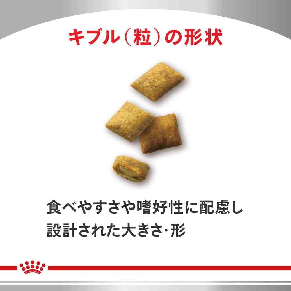 猫用 腎臓サポート セレクション 2kgx1