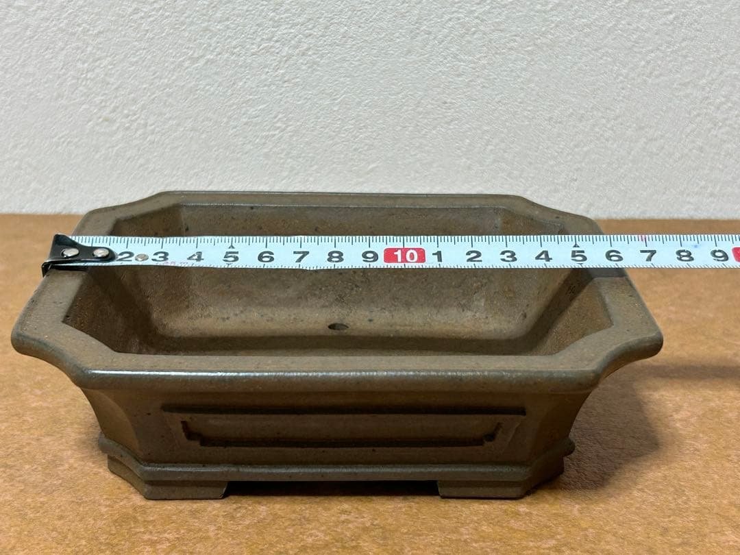 小松泉　秋静庵　小品盆栽　山野草