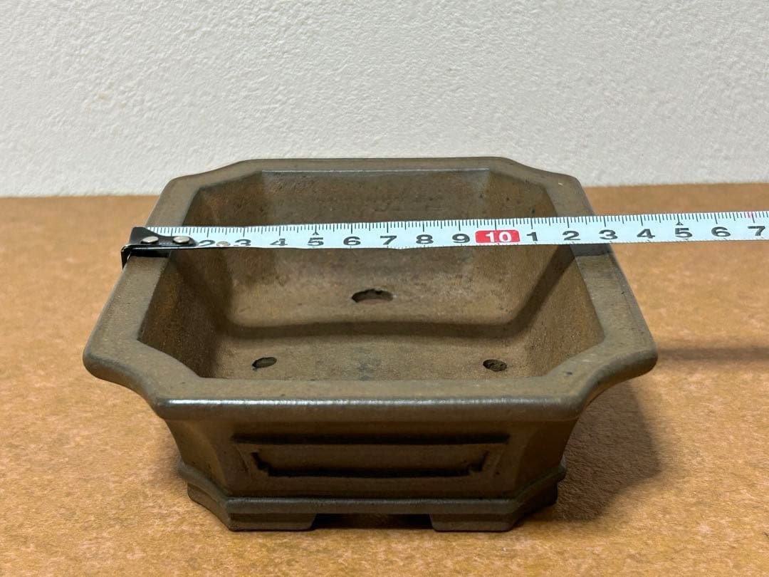 小松泉　秋静庵　小品盆栽　山野草