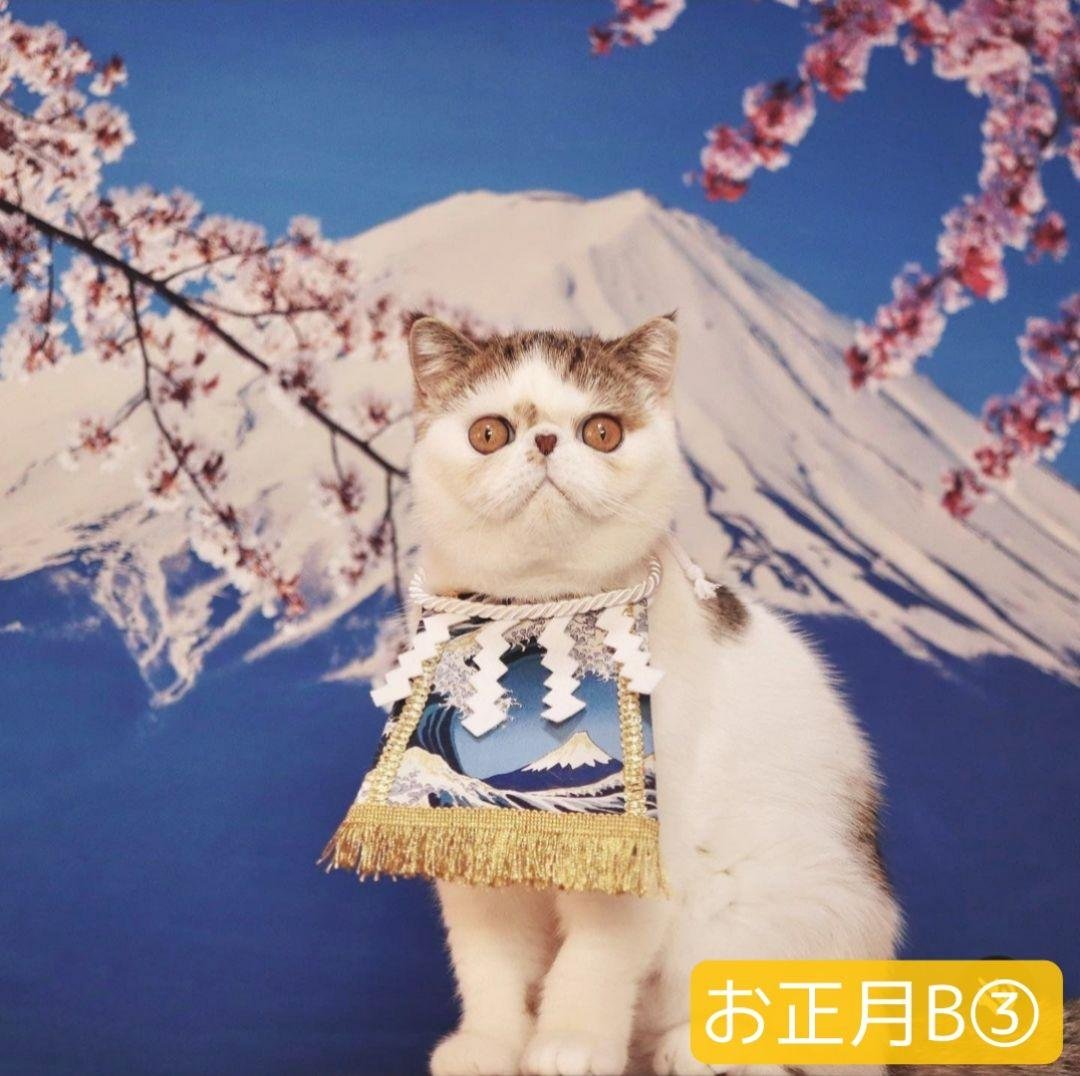 背景布お正月F④ ペット撮影用フォトブース 干支蛇トリミング